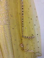 RFSS823 - Floor Length Party Wear Gown with Heavy Chikan Embroidery. Comes with Chiffon Dupatta.