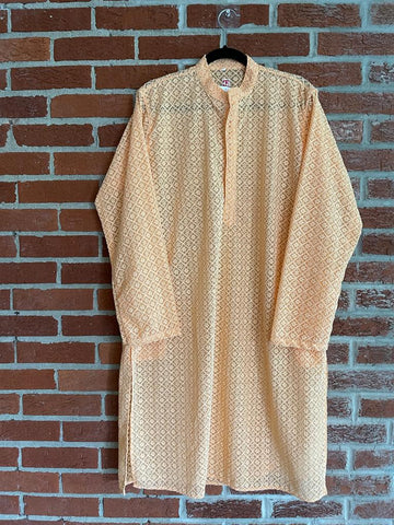 MWK108 - Lucknowi Chikan Georgette Kurta