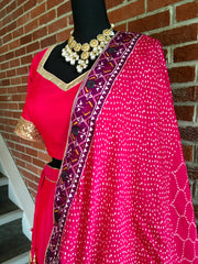 AFL1006 - Raw Silk Lehenga with pure Gajji Silk Dupatta with digital picwai prints. Comes with stitched blouse